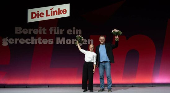 Nouveau leadership au sein de Die Linke Schwerdtner et van Aken prennent les rênes du parti