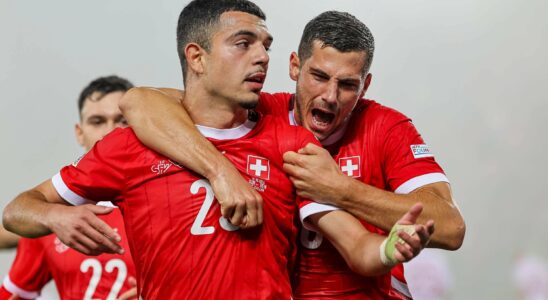 Match nul 2-2 face au Danemark : la Suisse concède deux buts évitables au football régional