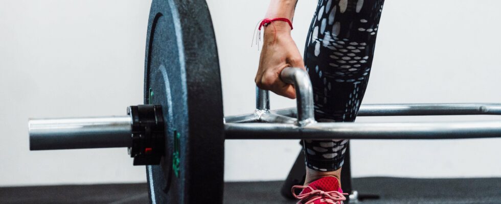 Muscles en développement : la créatine et les protéines peuvent-elles favoriser la croissance musculaire ?