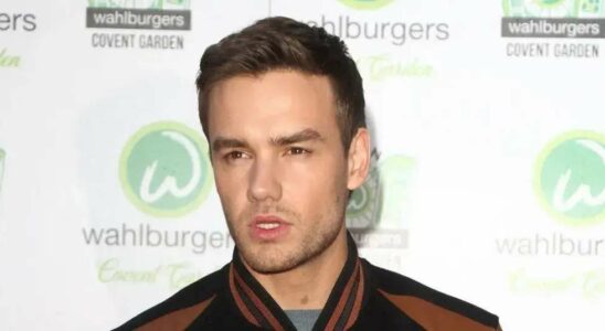 Le smartphone de Liam Payne détient la clé d'une énigme liée à la mort d'un chanteur, alors que les enquêteurs argentins traquent un dealer de drogue.