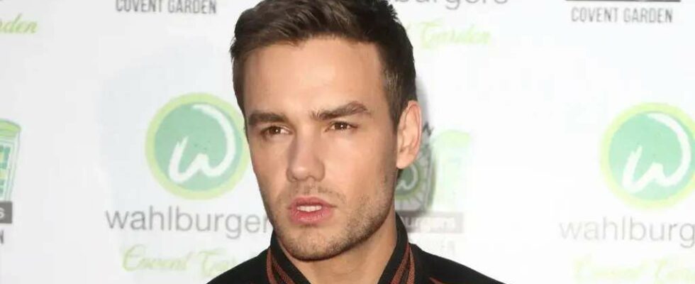 Le smartphone de Liam Payne détient la clé d'une énigme liée à la mort d'un chanteur, alors que les enquêteurs argentins traquent un dealer de drogue.