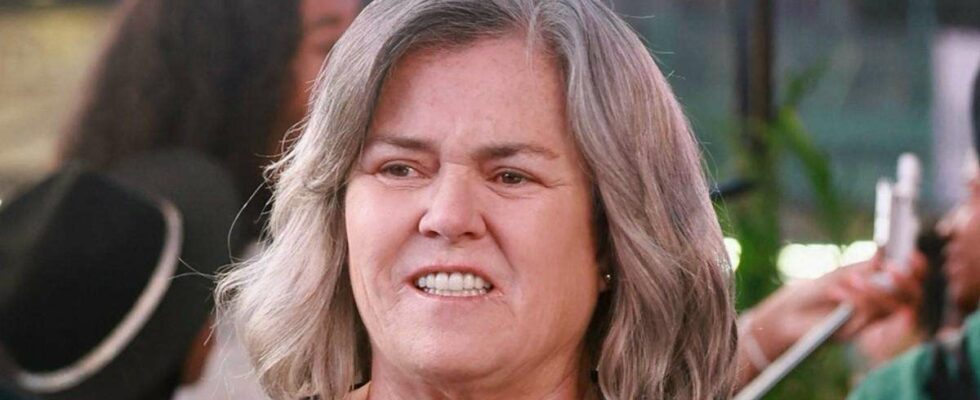 "Rosie O'Donnell réagit à l'arrestation de sa fille Chelsea pour négligence et possession de substances illicites"