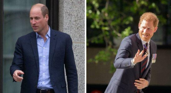 Le prince William redoute que le prince Harry ne détourne l'attention lors de son accession au trône