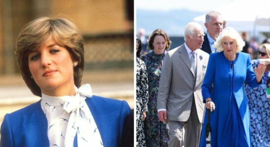 Les relations du roi Charles et de la reine Camilla ont conduit la princesse Diana à consulter divers médiums et conseillers spirituels.