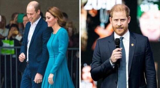 Les remarques sévères du prince Harry à l'égard de Kate Middleton ont profondément affecté le prince William