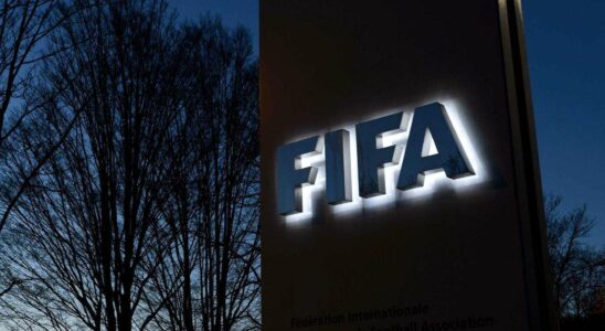 Une ONG pour les droits humains dénonce les incapacitées de la FIFA à contrôler le football à l'échelle mondiale.