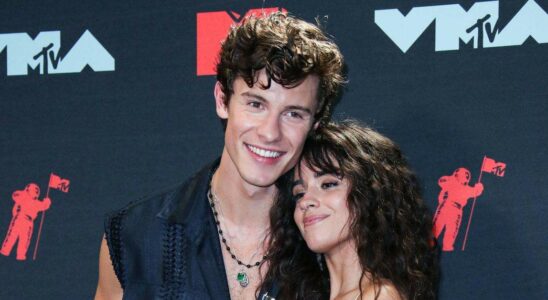 Shawn Mendes Surprised by Rumors of Feud with Camila Cabello, Still Friends Shawn Mendes surpris par les rumeurs de rivalité avec Camila Cabello, amis