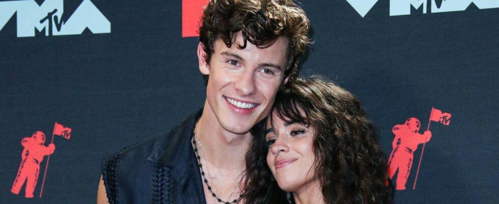 Shawn Mendes Surprised by Rumors of Feud with Camila Cabello, Still Friends Shawn Mendes surpris par les rumeurs de rivalité avec Camila Cabello, amis