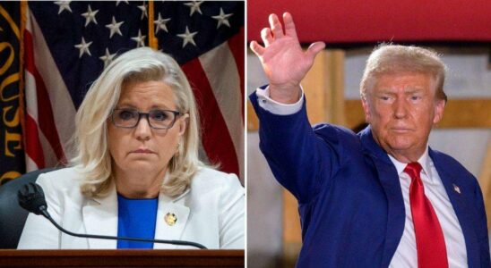 Trump Threatens Liz Cheney: Fury Erupts Over 'Guns Trained on Her' Comments Trump menace Liz Cheney : La colère éclate sur ses propos concernant 'des armes braquées sur elle'