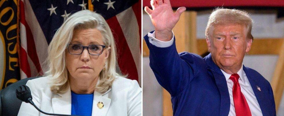 Trump Threatens Liz Cheney: Fury Erupts Over 'Guns Trained on Her' Comments Trump menace Liz Cheney : La colère éclate sur ses propos concernant 'des armes braquées sur elle'