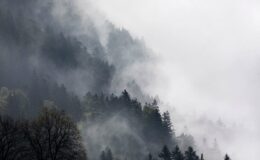 Nebel-Novembre : Une amélioration à venir, mais fuyez vers le haut !