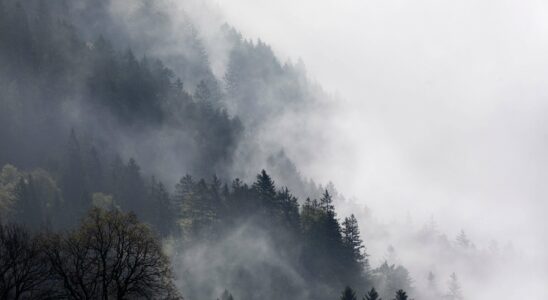 Nebel-Novembre : Une amélioration à venir, mais fuyez vers le haut !