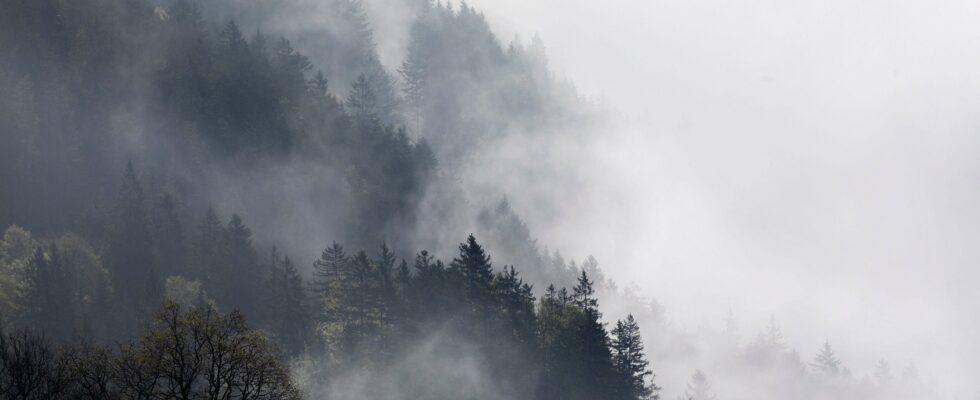 Nebel-Novembre : Une amélioration à venir, mais fuyez vers le haut !