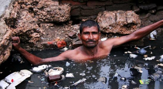 World's 'most perilous job': battling snakes in sewage for £3 a day - FR: Le 'travail le plus dangereux': lutter contre des serpents dans les égouts pour 3 £ par jour