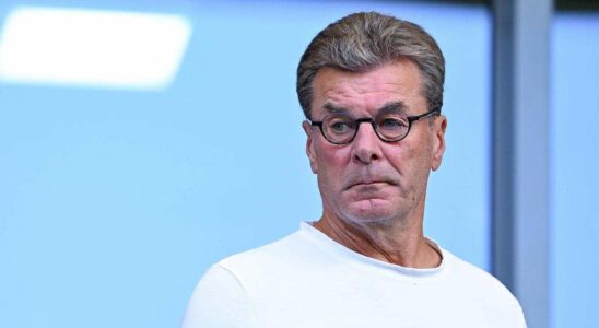 Dieter Hecking Prêt à Sauver le VfL Bochum de la Relégation Après un Début de Saison Catastrophique