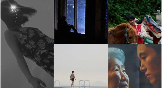 Volos Films Showcases Diverse Co-Production Projects at Taiwan Creative Content Fest