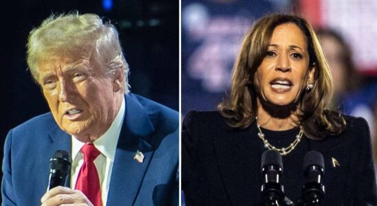 Titre : Fraude électorale présumée de Trump : Le Don, 78 ans, prépare une équipe d'avocats pour contester une éventuelle victoire de Kamala Harris à la présidentielle.