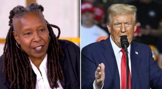 Whoopi Goldberg s'exprime sur la victoire de Donald Trump en 2024 : 'Que s'est-il passé la nuit dernière ?'