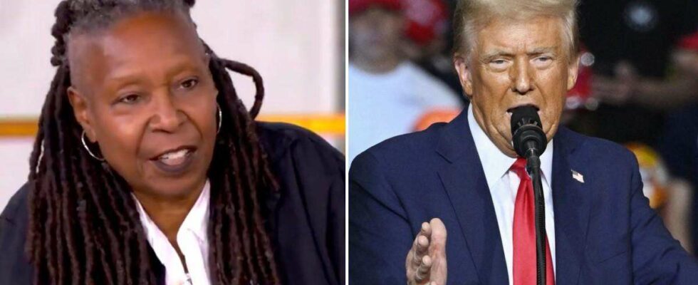 Whoopi Goldberg s'exprime sur la victoire de Donald Trump en 2024 : 'Que s'est-il passé la nuit dernière ?'