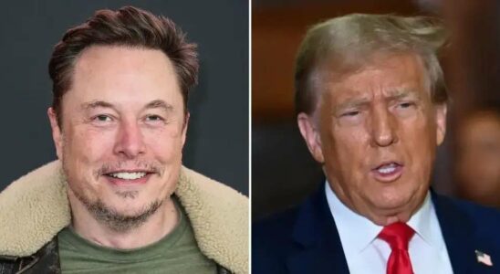 Elon Musk critiqué pour avoir déclaré que Donald Trump a remporté l'élection en tant que 'personne ordinaire'