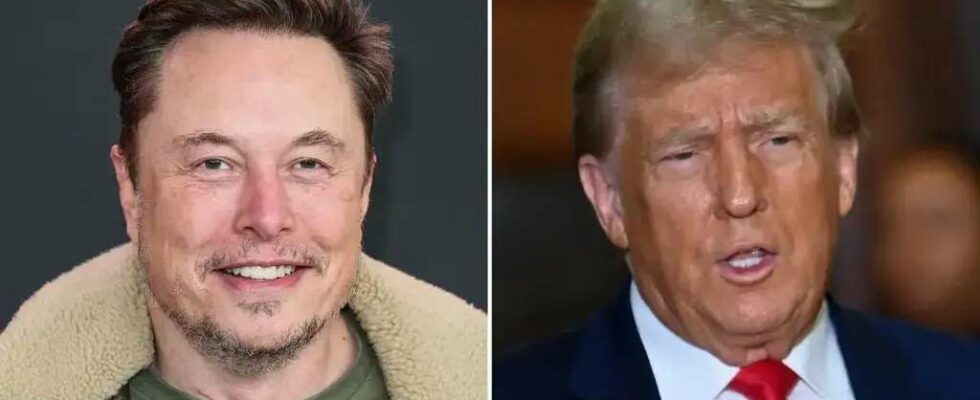 Elon Musk critiqué pour avoir déclaré que Donald Trump a remporté l'élection en tant que 'personne ordinaire'