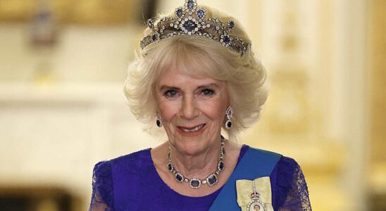 La reine Camilla : le nouvel atout précieux de la couronne selon HILARY ROSE