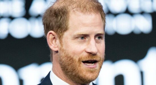 Prince Harry : Soutien aux enfants de militaires en deuil