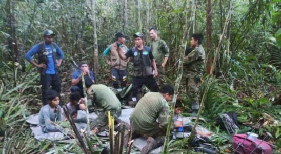 Survie incroyable des frères et sœurs Mucutuy : 40 jours dans la jungle après un accident d'avion dans Les Enfants Perdus.