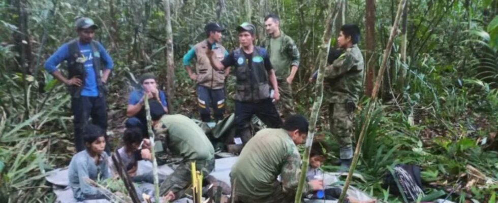 Survie incroyable des frères et sœurs Mucutuy : 40 jours dans la jungle après un accident d'avion dans Les Enfants Perdus.