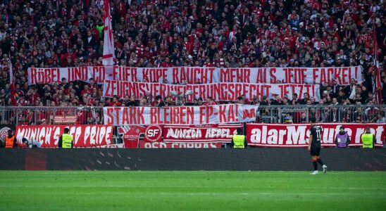 Décision défavorable pour le projet des fans de Karlsruhe : l'inquiétude des travailleurs sociaux dans le football allemand