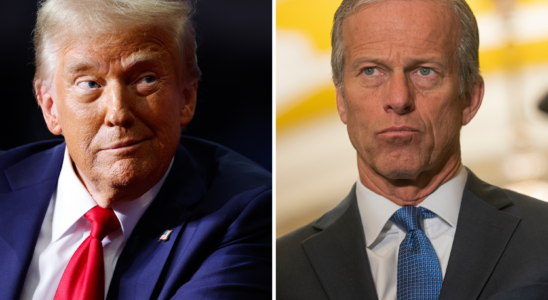 John Thune dévoile ses stratégies pour l'agenda de Trump suite au vote du Sénat