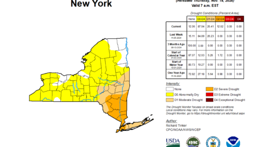 Incendies de végétation à Manhattan : la sécheresse s'intensifie dans le Nord-Est des États-Unis.