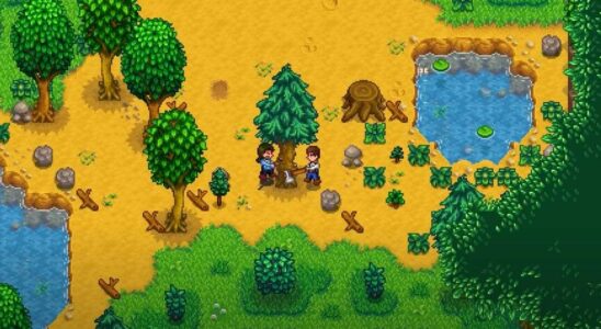 Guide pour lancer une ferme en coopération avec un ami dans Stardew Valley