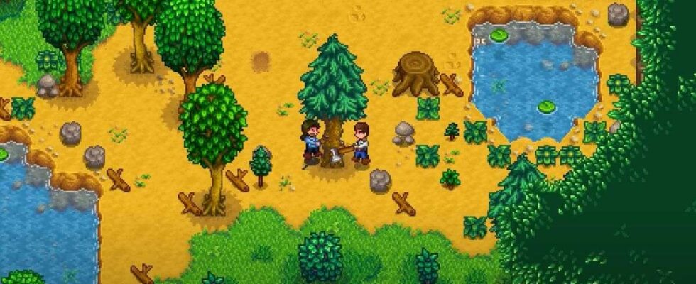 Guide pour lancer une ferme en coopération avec un ami dans Stardew Valley