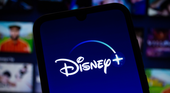 Règles essentielles pour le partage de mots de passe sur Disney Plus