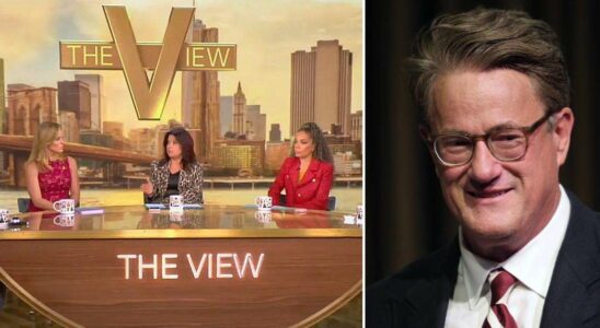 Le débat au sein du casting de 'The View' sur la visite polémique de Joe Scarborough chez Donald Trump