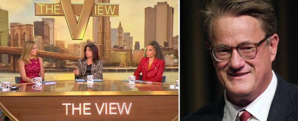 Le débat au sein du casting de 'The View' sur la visite polémique de Joe Scarborough chez Donald Trump