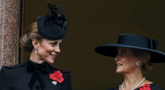 Kate Middleton et Sophie Wessex : un lien fraternel fort et une protection commune pour leurs enfants