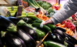 Titre : Alimentation durable : Les Allemands adoptent des habitudes alimentaires plus saines et écoresponsables