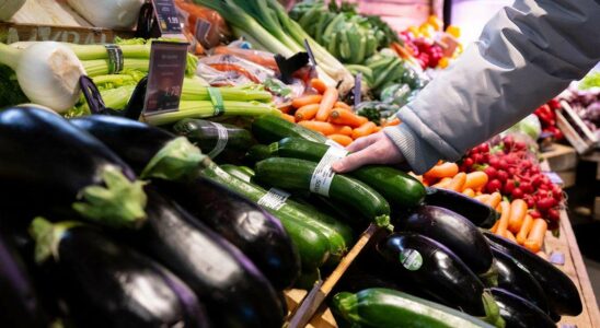 Titre : Alimentation durable : Les Allemands adoptent des habitudes alimentaires plus saines et écoresponsables