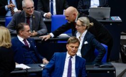 Stratégies de l'AfD au Bundestag : Analyse de la question de confiance