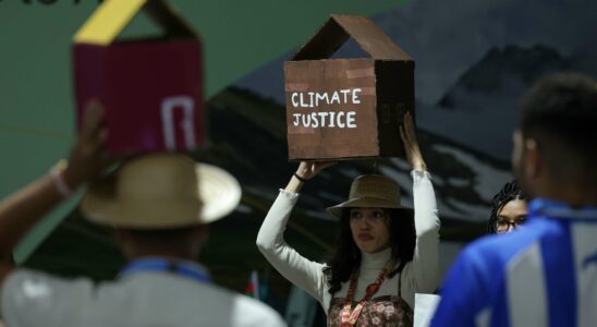 Sommet climatique de l'ONU : l'hôte privilégie les magnats du pétrole au détriment des activistes en protestation