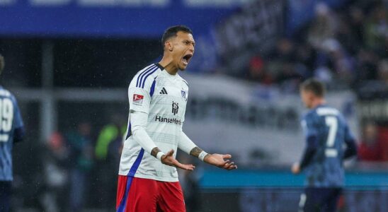 Crise au Schalke 04 : L'étrange chute du Hamburger SV expliquée