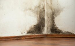 Cinq astuces gratuites pour prévenir la moisissure et la condensation dans votre maison avec l'arrivée du froid