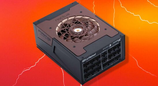 Alimentation Noctua : Idéale pour un PC de jeu silencieux, à condition d'avoir le budget