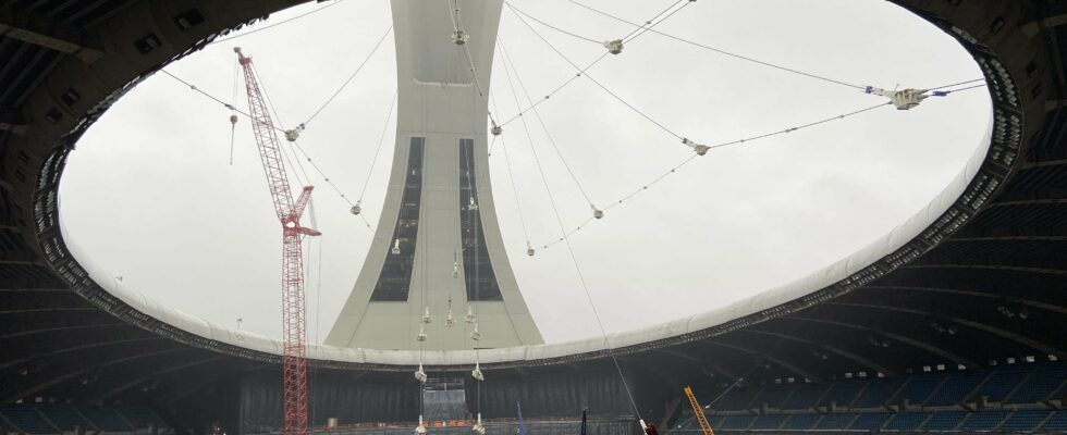 Lancement de l'élite de l'athlétisme en 2026 : Stars, enjeux financiers et spectacle au programme de la fédération mondiale