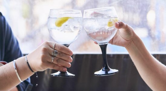 Comparatif des gins : le meilleur choix d'Aldi surpasse Gordon's en qualité et en prix