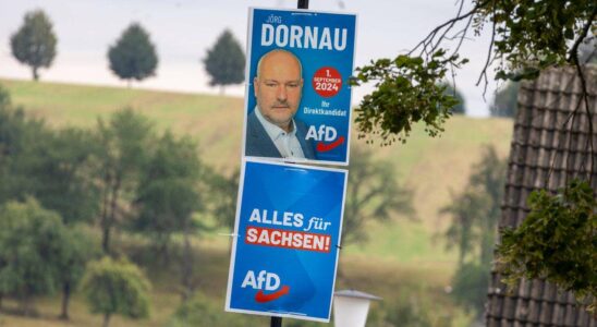 Affaires en Biélorussie : Le politicien de l'AfD Dornau aurait-il échappé aux sanctions ?