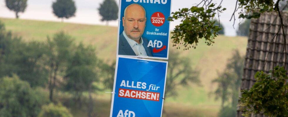 Affaires en Biélorussie : Le politicien de l'AfD Dornau aurait-il échappé aux sanctions ?