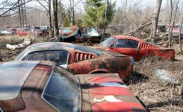 Découvrez un fascinant cimetière de voitures anciennes avec des moteurs remarquables laissés à l'abandon - incluant des Mustangs, des GTO et des Corvettes.